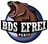 BDS logo