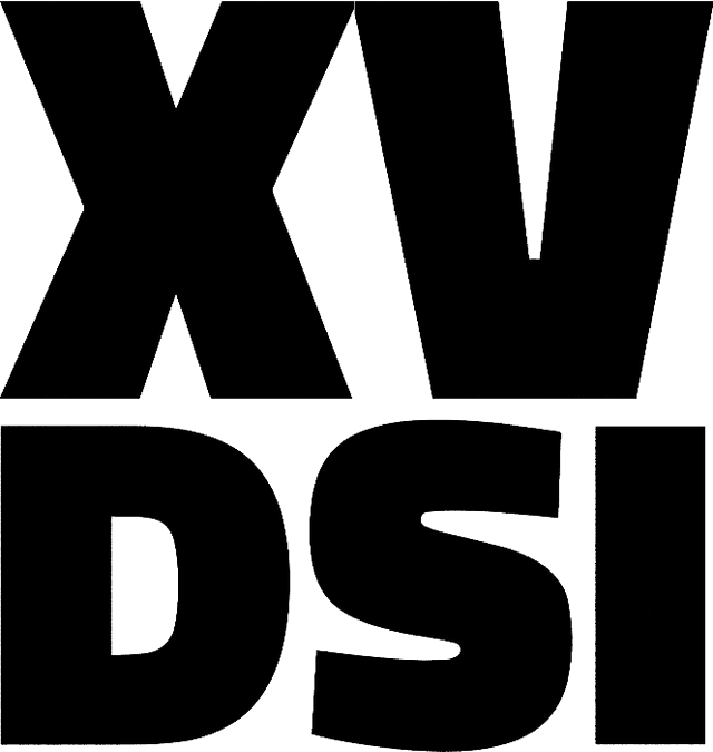 XV DSI