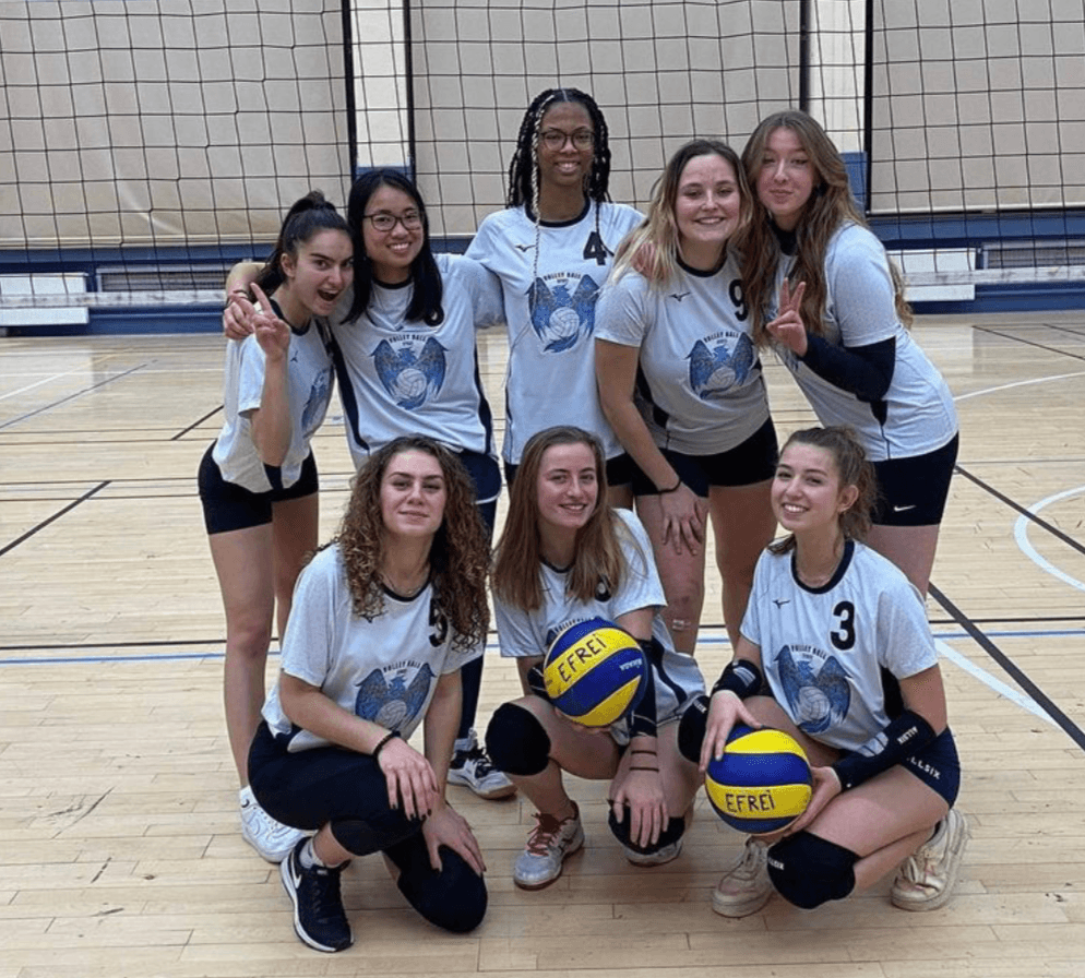 Volley
