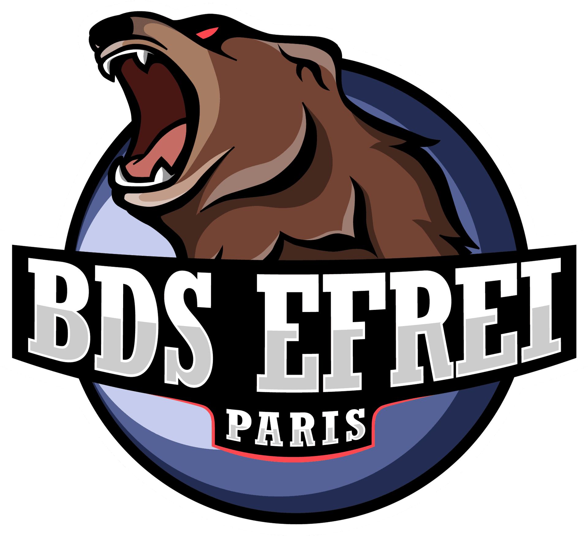 Logo BDS