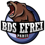 Logo BDS