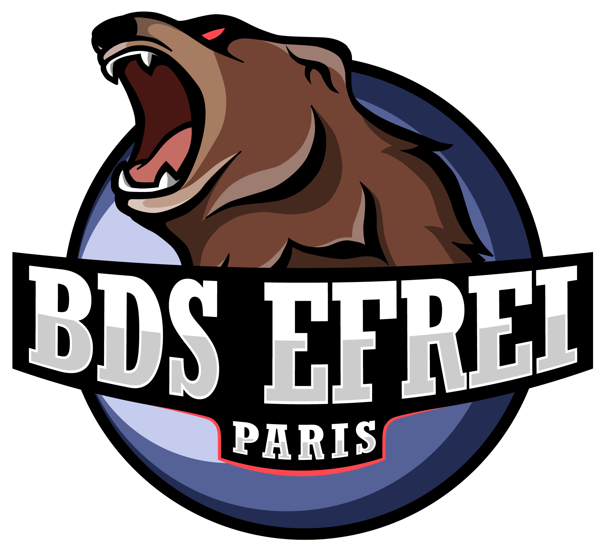 Logo BDS